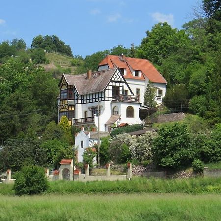Ferienwohnung Elbsommer Am Weinberg Meißen Exteriér fotografie