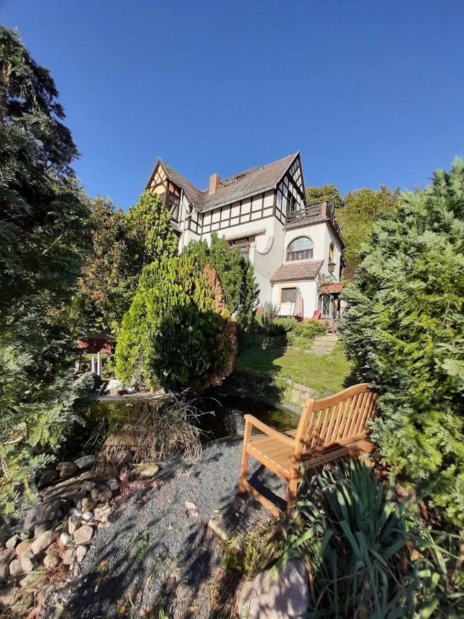 Ferienwohnung Elbsommer Am Weinberg Meißen Exteriér fotografie