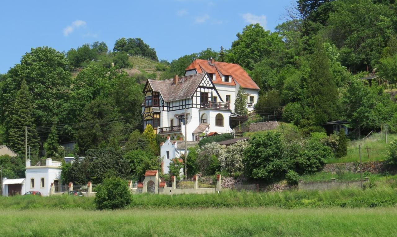 Ferienwohnung Elbsommer Am Weinberg Meißen Exteriér fotografie