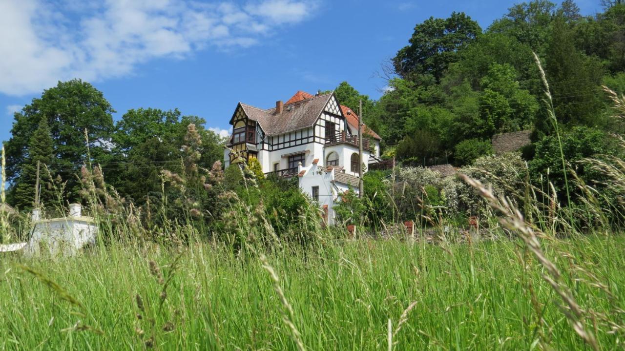 Ferienwohnung Elbsommer Am Weinberg Meißen Exteriér fotografie